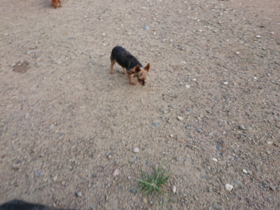 f:id:roukenhome-ann:20190818191145j:plain