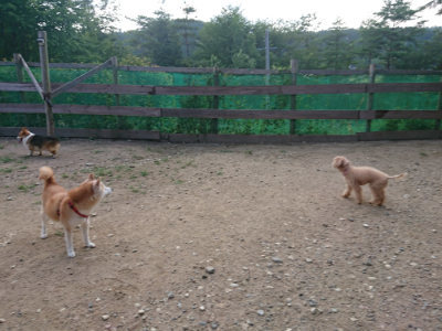 f:id:roukenhome-ann:20190818191236j:plain