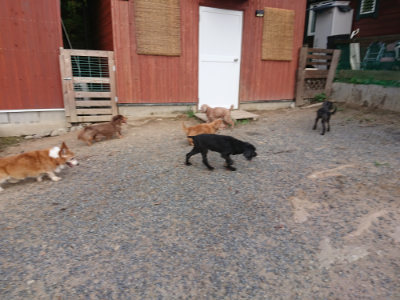 f:id:roukenhome-ann:20190818191247j:plain