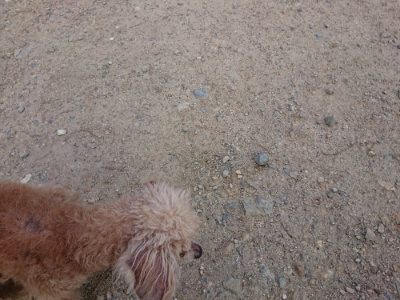f:id:roukenhome-ann:20190818191555j:plain