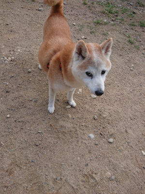 f:id:roukenhome-ann:20190818191608j:plain