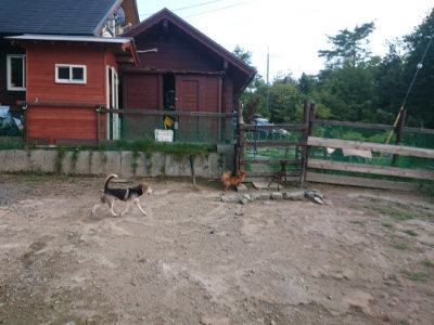 f:id:roukenhome-ann:20190818191617j:plain