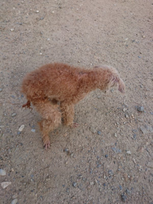 f:id:roukenhome-ann:20190818191632j:plain