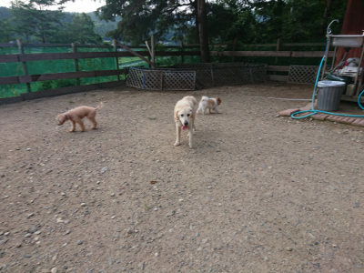 f:id:roukenhome-ann:20190818191643j:plain