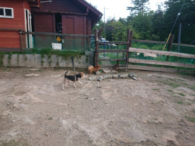 f:id:roukenhome-ann:20190818191647j:plain