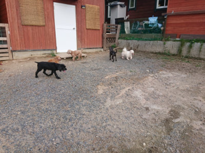f:id:roukenhome-ann:20190818191655j:plain