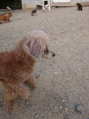 f:id:roukenhome-ann:20190818191709j:plain