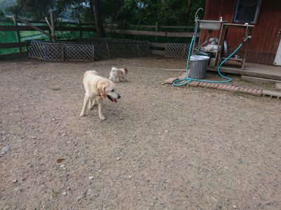 f:id:roukenhome-ann:20190818191718j:plain