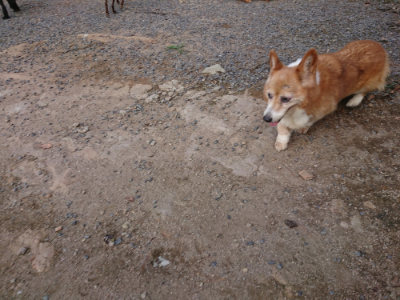 f:id:roukenhome-ann:20190818191725j:plain