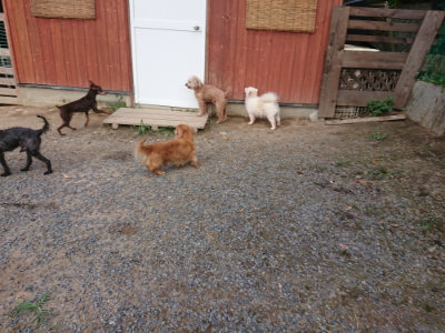 f:id:roukenhome-ann:20190818191742j:plain
