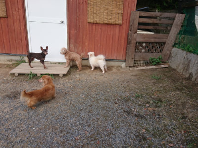 f:id:roukenhome-ann:20190818191748j:plain