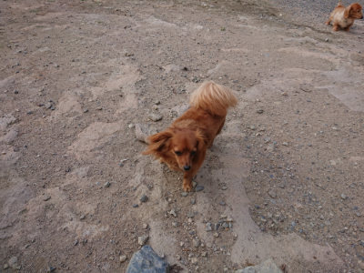 f:id:roukenhome-ann:20190818191824j:plain
