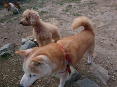 f:id:roukenhome-ann:20190818191834j:plain
