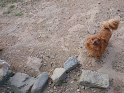 f:id:roukenhome-ann:20190818191903j:plain