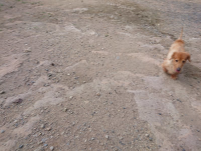 f:id:roukenhome-ann:20190818191916j:plain