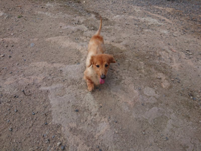 f:id:roukenhome-ann:20190818191921j:plain