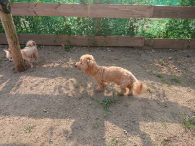 f:id:roukenhome-ann:20190818203611j:plain
