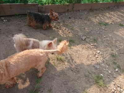 f:id:roukenhome-ann:20190818203655j:plain