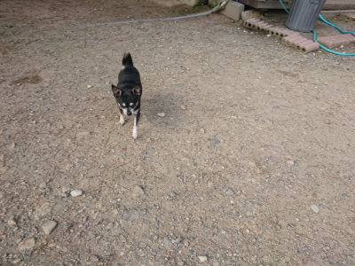 f:id:roukenhome-ann:20190818203722j:plain