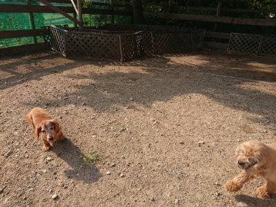 f:id:roukenhome-ann:20190818203737j:plain