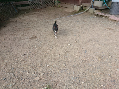 f:id:roukenhome-ann:20190818203753j:plain