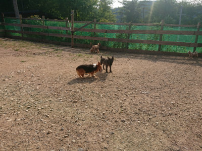 f:id:roukenhome-ann:20190818203809j:plain