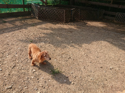 f:id:roukenhome-ann:20190818203815j:plain