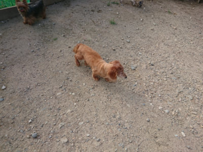 f:id:roukenhome-ann:20190818203829j:plain