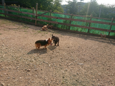 f:id:roukenhome-ann:20190818203843j:plain