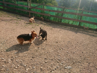 f:id:roukenhome-ann:20190818203849j:plain