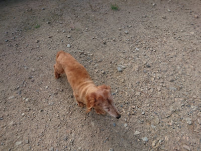 f:id:roukenhome-ann:20190818203905j:plain