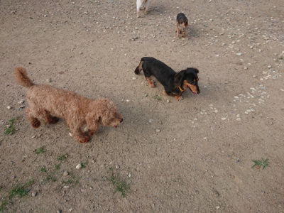 f:id:roukenhome-ann:20190818203954j:plain