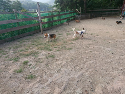 f:id:roukenhome-ann:20190818204027j:plain