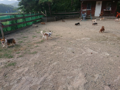 f:id:roukenhome-ann:20190818204151j:plain