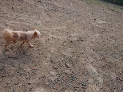 f:id:roukenhome-ann:20190818204224j:plain
