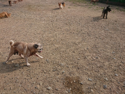 f:id:roukenhome-ann:20190818204236j:plain