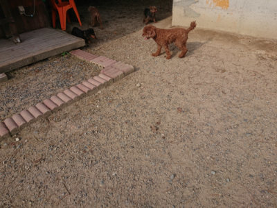 f:id:roukenhome-ann:20190818204401j:plain