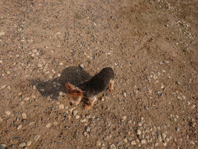 f:id:roukenhome-ann:20190818204422j:plain