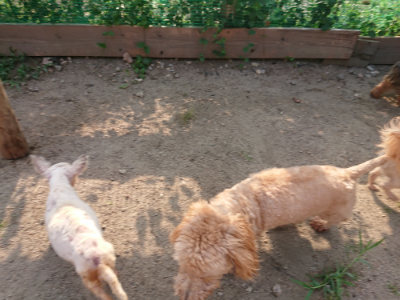 f:id:roukenhome-ann:20190818204429j:plain