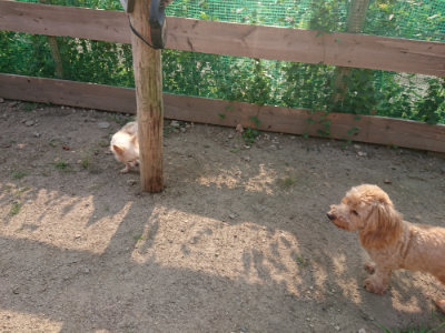 f:id:roukenhome-ann:20190818204435j:plain