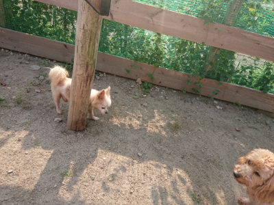 f:id:roukenhome-ann:20190818204441j:plain