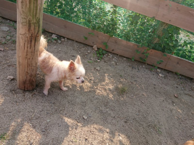 f:id:roukenhome-ann:20190818204448j:plain