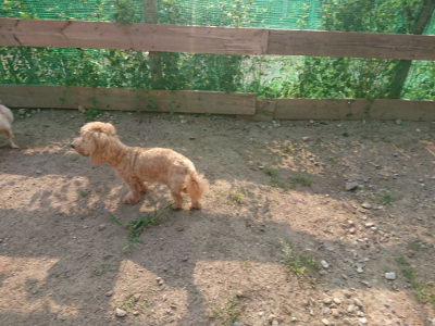 f:id:roukenhome-ann:20190818204513j:plain