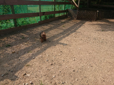 f:id:roukenhome-ann:20190818204617j:plain
