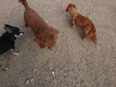 f:id:roukenhome-ann:20190818204623j:plain