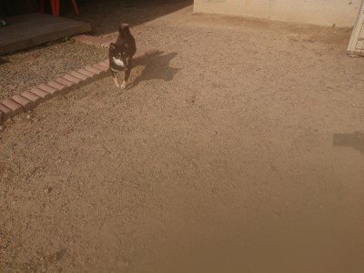 f:id:roukenhome-ann:20190818204631j:plain