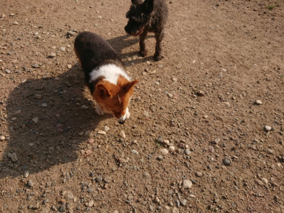 f:id:roukenhome-ann:20190818204645j:plain