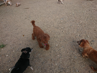 f:id:roukenhome-ann:20190818204653j:plain