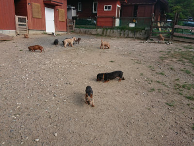 f:id:roukenhome-ann:20190818204726j:plain
