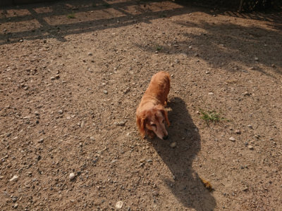 f:id:roukenhome-ann:20190818204737j:plain